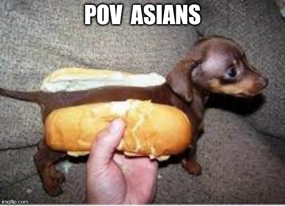 Asains | Pov  Asians | image tagged in omg | made w/ Imgflip meme maker