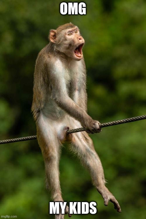 Mokeys | Omg; My Kids | image tagged in omg | made w/ Imgflip meme maker