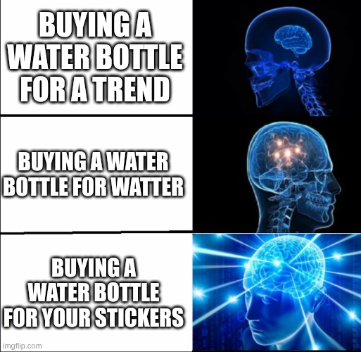 Galaxy Brain (3 brains) | buying a water bottle for a trend; buying a water bottle for watter; buying a water bottle for your stickers | image tagged in galaxy brain 3 brains | made w/ Imgflip meme maker