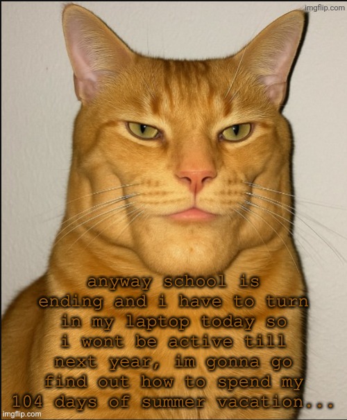 chad cat | anyway school is ending and i have to turn in my laptop today so i wont be active till next year, im gonna go find out how to spend my 104 days of summer vacation... | image tagged in chad cat | made w/ Imgflip meme maker