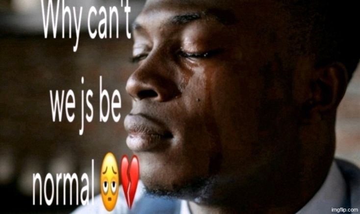 Why can't we js be normal (updated) | image tagged in why can't we js be normal updated | made w/ Imgflip meme maker