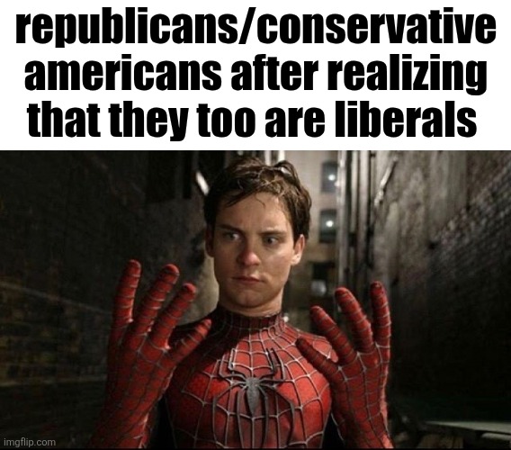 Liberalism is individual rights, consent of the governed,private property and a market | republicans/conservative americans after realizing that they too are liberals | image tagged in spiderman hands meme | made w/ Imgflip meme maker