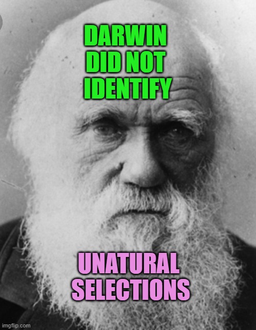 Natural Selection | Darwin 
did not 
identify unatural 
selections | image tagged in natural selection | made w/ Imgflip meme maker