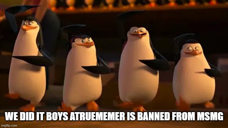 penguins of madagascar | we did it boys atruememer is banned from msmg | image tagged in penguins of madagascar | made w/ Imgflip meme maker