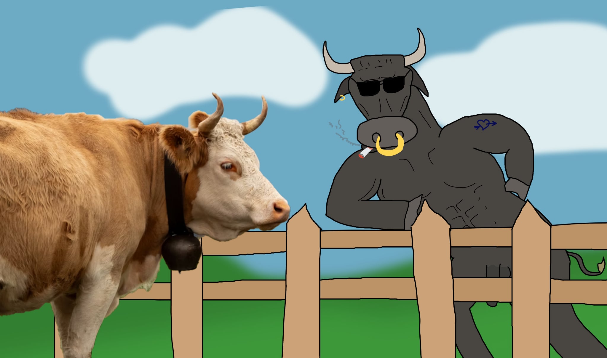 The bull and the cow Blank Meme Template