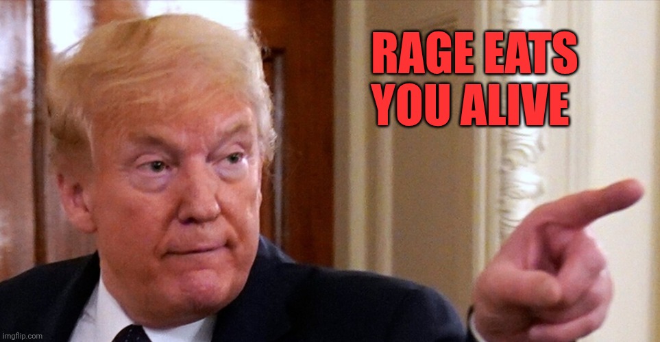 Rage hurts... | Rage eats you alive | image tagged in trump pointing | made w/ Imgflip meme maker