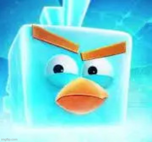 suggest something to make my username and i'll probably do it blah blah blah | image tagged in ice bird | made w/ Imgflip meme maker