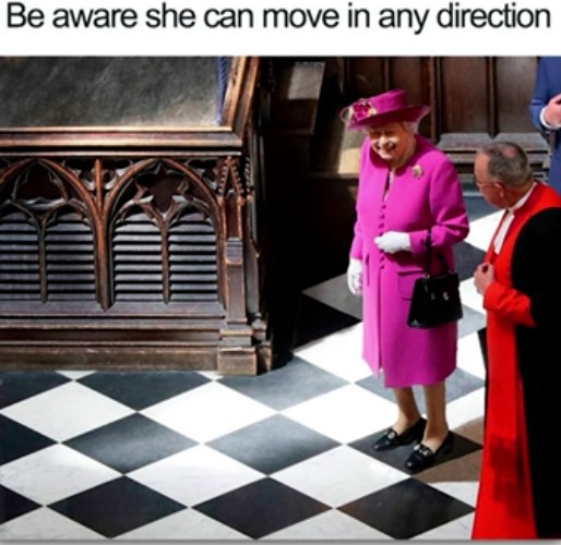 image tagged in queen elizabeth,chess,funny,smart,board games,memes | made w/ Imgflip meme maker