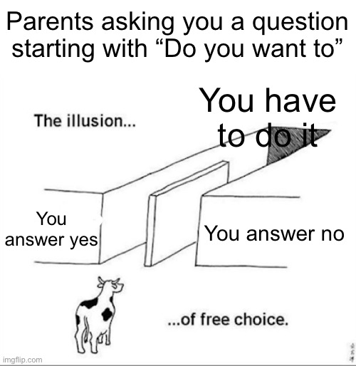 If you say no, they still make you do it. | Parents asking you a question starting with “Do you want to”; You have to do it; You answer yes; You answer no | image tagged in illusion of free choice,parents,do you want to,question | made w/ Imgflip meme maker