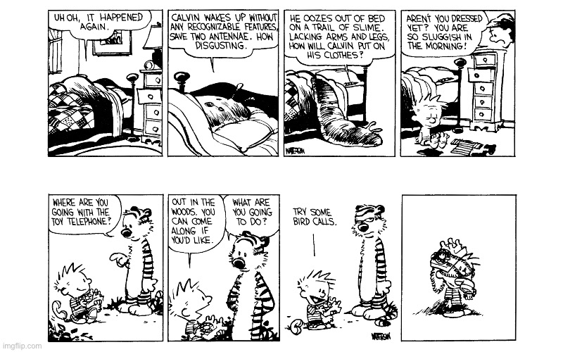 image tagged in calvin and hobbes,comics | made w/ Imgflip meme maker