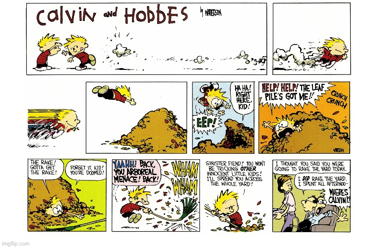 image tagged in calvin and hobbes,comics | made w/ Imgflip meme maker