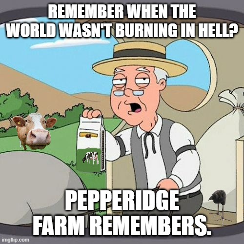 Youp, good times when life was fun | Remember when the world wasn't burning in hell? Pepperidge farm remembers. | image tagged in memes,pepperidge farm remembers | made w/ Imgflip meme maker