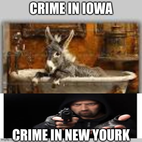 WTF | crime in iowa; crime in new yourk | image tagged in sigma | made w/ Imgflip meme maker