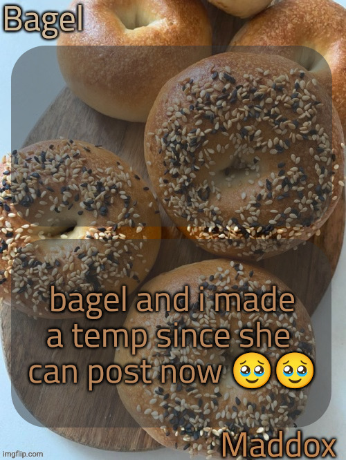 bagel and maddox shared temp | bagel and i made a temp since she 
can post now 🥹🥹 | image tagged in bagel and maddox shared temp | made w/ Imgflip meme maker