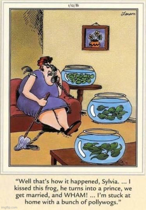 That’s life… | image tagged in the far side,comics,kiss the frog,pollywogs,compaining,phone call | made w/ Imgflip meme maker