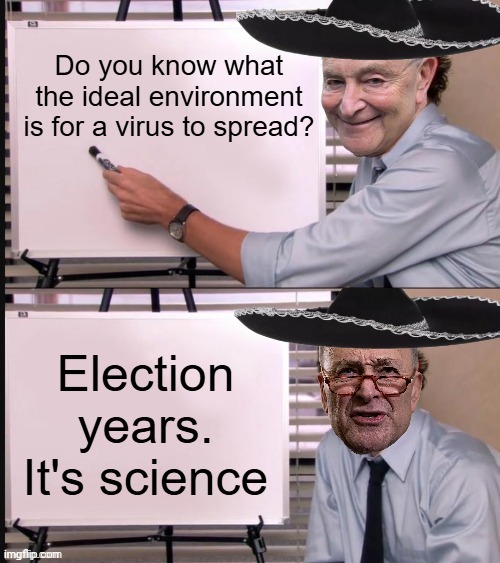 What spreads a Scamdemic? | image tagged in chuck schumer,pandemic,election,fraud | made w/ Imgflip meme maker