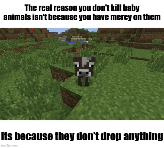 The real reason you don't kill baby animals isn't because you have mercy on them; Its because they don't drop anything | made w/ Imgflip meme maker