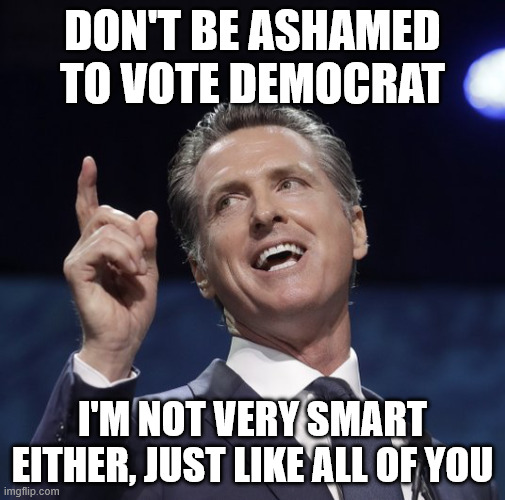 He said the truth | Don't be ashamed to vote Democrat; I'm not very smart either, just like all of you | image tagged in gavin newsom,memes,politics,democrats | made w/ Imgflip meme maker