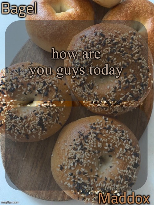 bagel and maddox shared temp | how are you guys today | image tagged in bagel and maddox shared temp | made w/ Imgflip meme maker