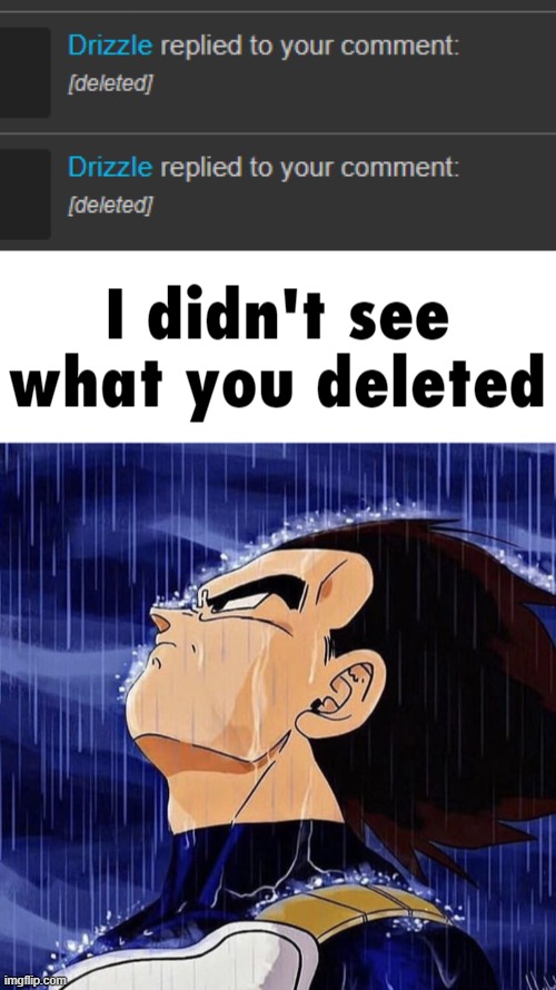 i didn't see what you deleted | image tagged in i didn't see what you deleted | made w/ Imgflip meme maker