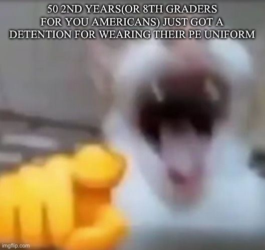 Get better bozo never gon get the hoezo | 50 2nd years(or 8th graders for you americans) just got a detention for wearing their pe uniform | image tagged in cat pointing and laughing | made w/ Imgflip meme maker