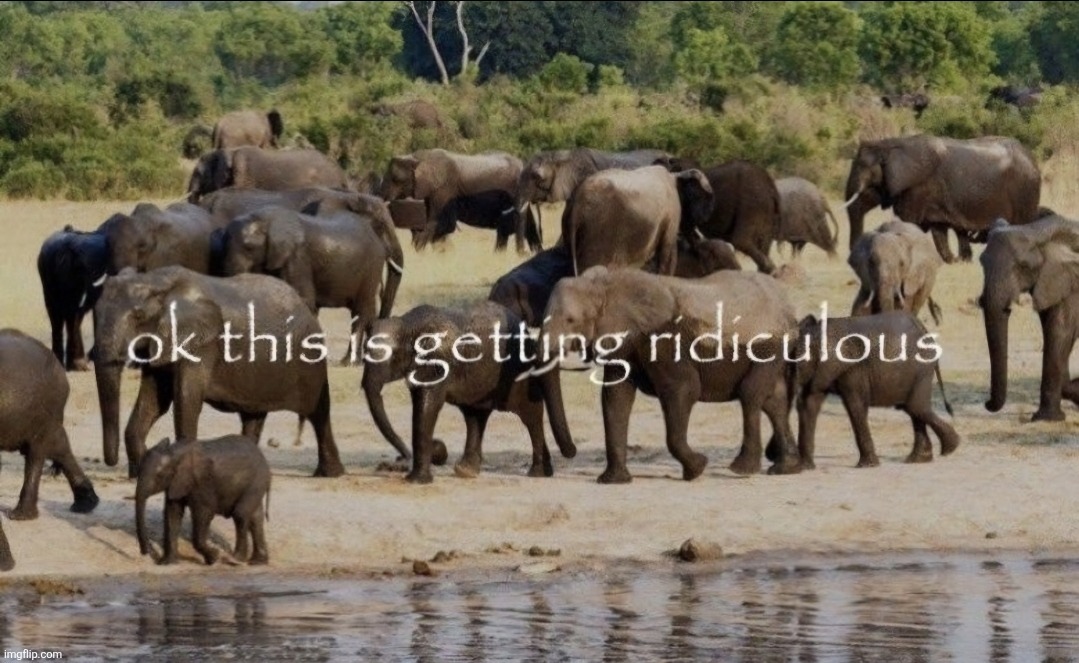 ok this is getting ridiculous | image tagged in ok this is getting ridiculous | made w/ Imgflip meme maker