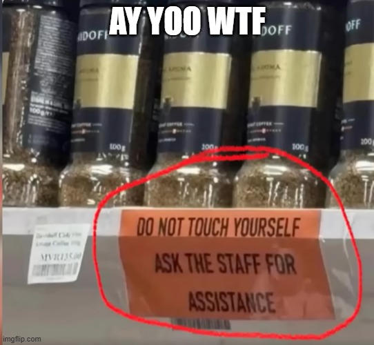 Touch yourself | Ay yoo wtf | image tagged in dark humor,funny,dumb people | made w/ Imgflip meme maker