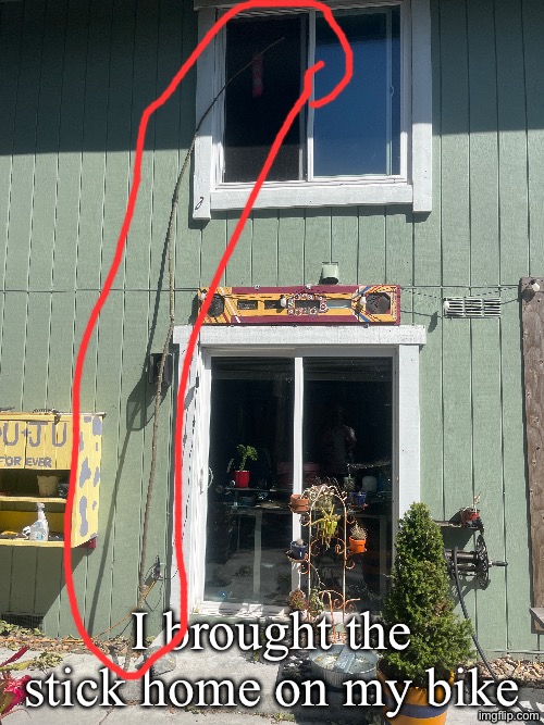 I brought the stick home on my bike | made w/ Imgflip meme maker