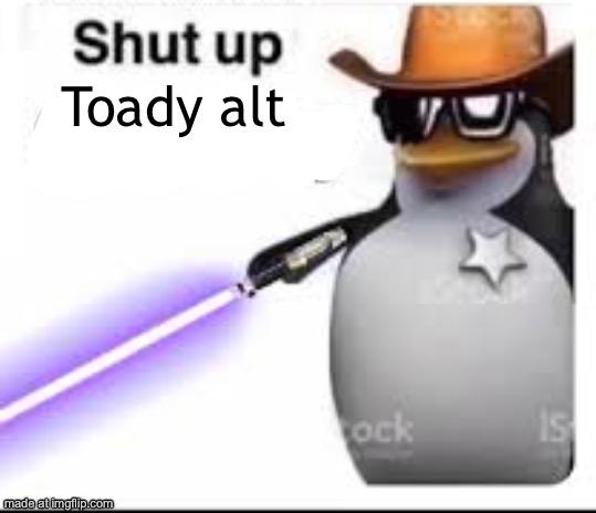 shut up gay boy | Toady alt | image tagged in shut up gay boy | made w/ Imgflip meme maker