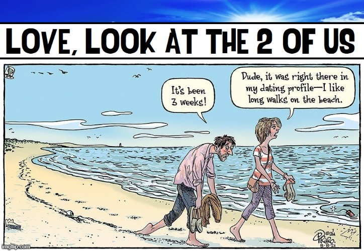 Dating: in the 21st Century | image tagged in vince vance,cartoons,bizarro,long walks,beach,dating profile | made w/ Imgflip meme maker