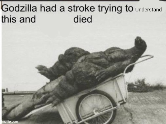 Godzilla | Understand | image tagged in godzilla | made w/ Imgflip meme maker