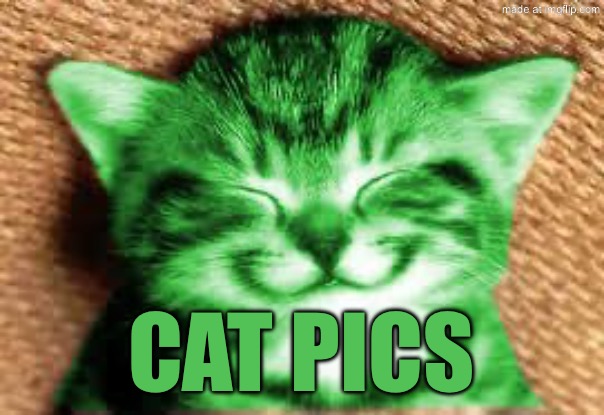 happy RayCat | Cat pics | image tagged in happy raycat | made w/ Imgflip meme maker