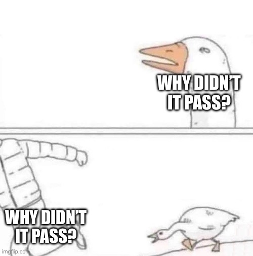 Goose Chase | Why didn’t it pass? Why didn’t it pass? | image tagged in goose chase | made w/ Imgflip meme maker