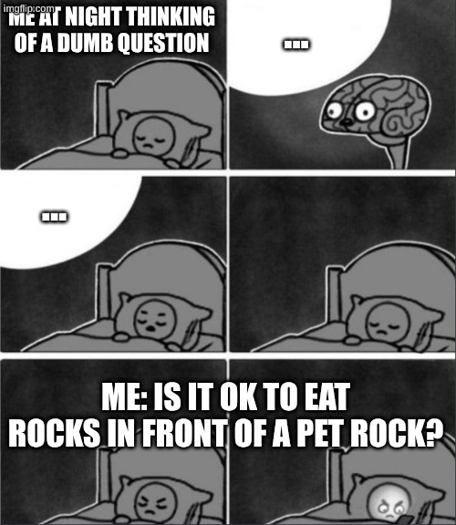 is it ok..? | ... me at night thinking of a dumb question; ... me: is it ok to eat rocks in front of a pet rock? | image tagged in brain sleep phone | made w/ Imgflip meme maker