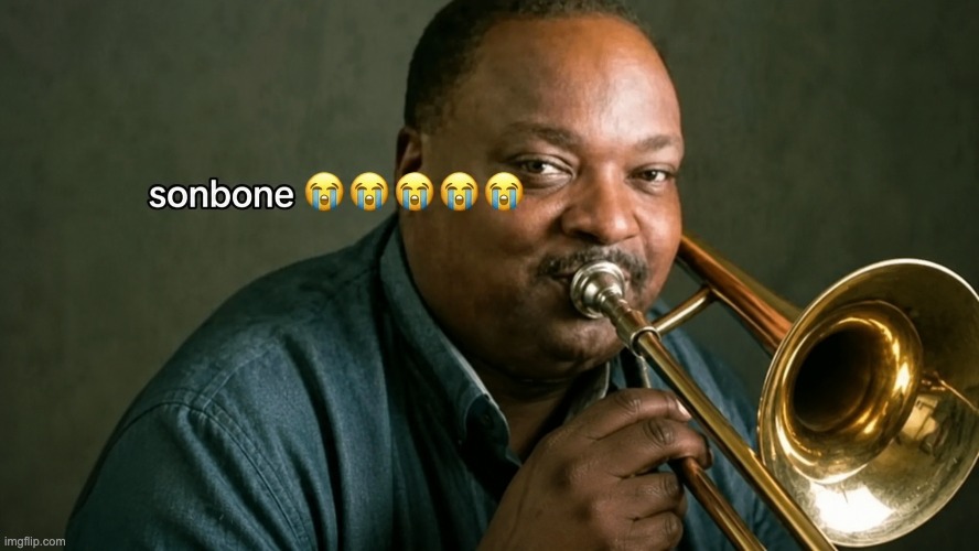 sonbone | image tagged in sonbone | made w/ Imgflip meme maker