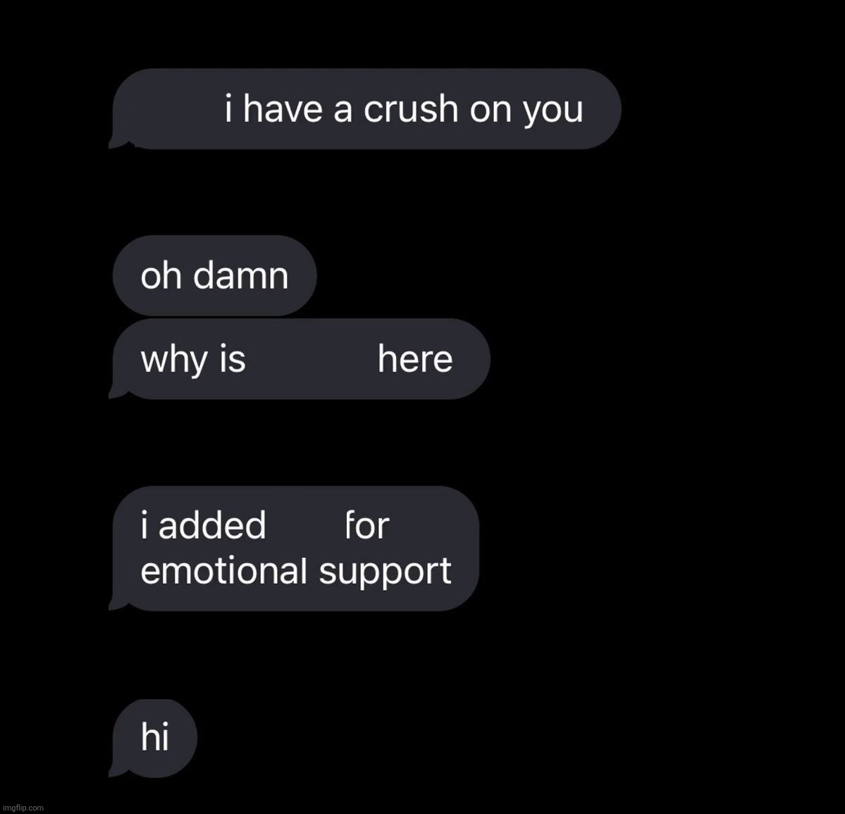 I added him for emotional support Blank Meme Template