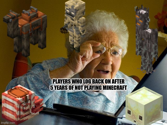 for real | players who log back on after 5 years of not playing Minecraft | image tagged in memes,grandma finds the internet | made w/ Imgflip meme maker