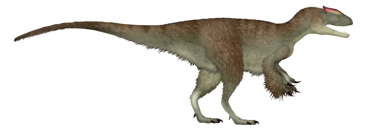 Sinotyrannus Blank Meme Template