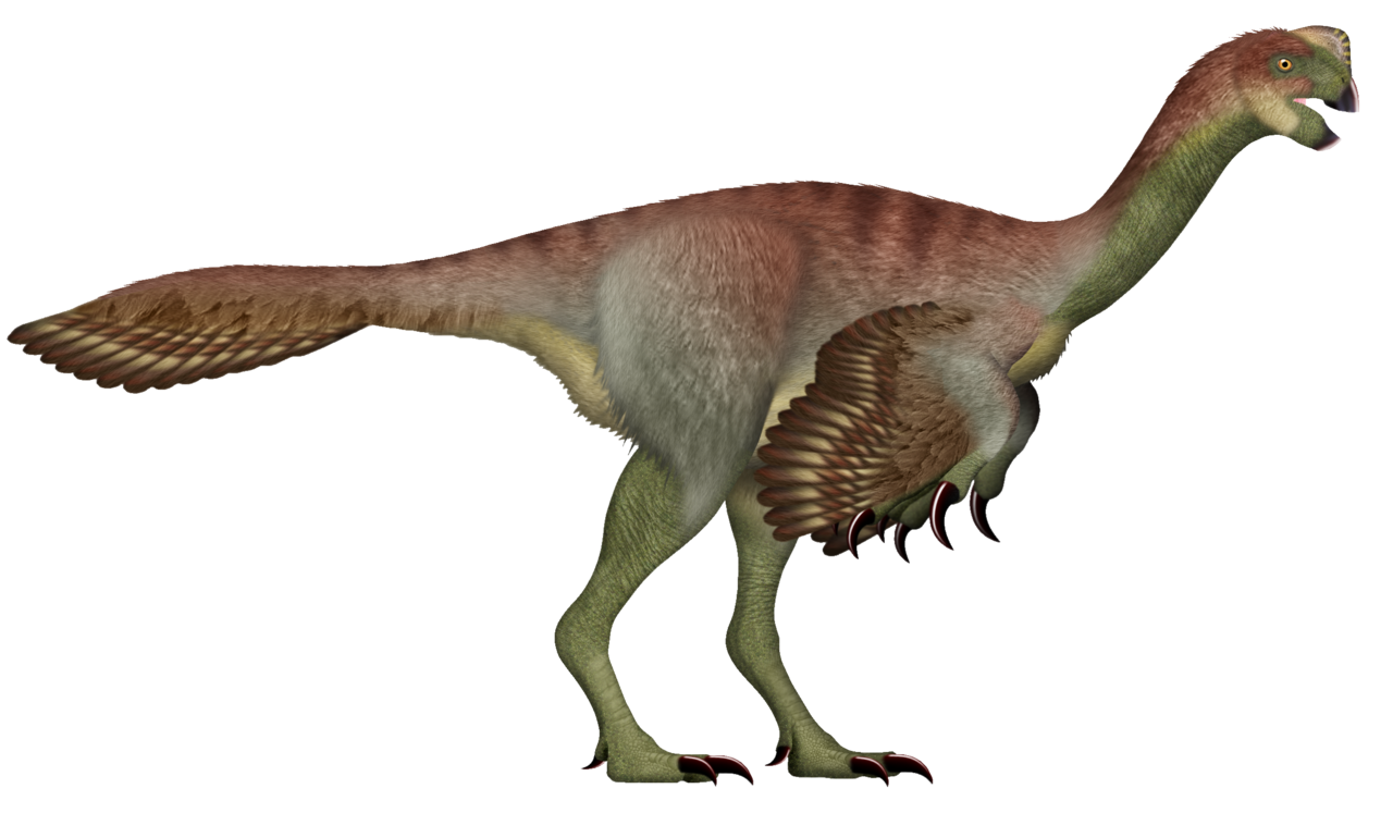Gigantoraptor Blank Meme Template