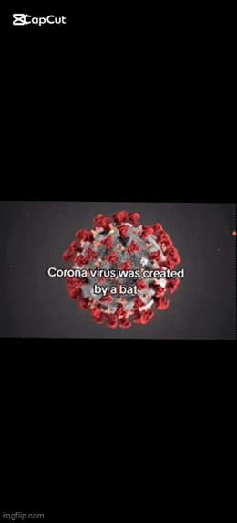 Javascript Infection Gif cat.. - Imgflip