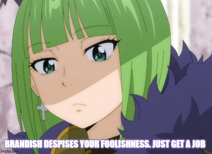 Brandish Mew Get a Job | Brandish despises your foolishness. Just get a job | image tagged in fairy tail | made w/ Imgflip meme maker