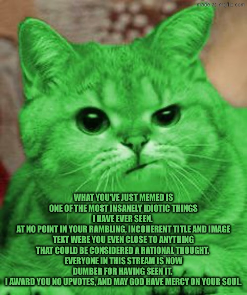 RayCat Annoyed | What you've just memed is one of the most insanely idiotic things I have ever seen. 
At no point in your rambling, incoherent title and image text were you even close to anything that could be considered a rational thought. 
Everyone in this stream is now dumber for having seen it. 
I award you no upvotes, and may God have mercy on your soul. | image tagged in raycat annoyed | made w/ Imgflip meme maker
