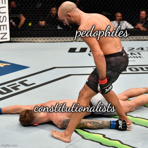 Victory! | pedophiles; constitutionalists | image tagged in k o knock out | made w/ Imgflip meme maker