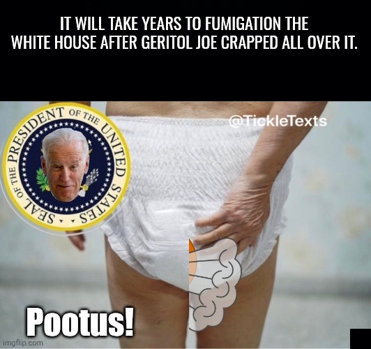 It will take years to fumigation the white house after Geritol Joe crapped all over it. Pootus! | image tagged in black background,biden depends pootus | made w/ Imgflip meme maker