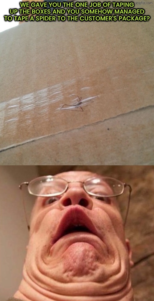 Spider under the tape? How likely is it that this wasn't intentional? | We gave you the one job of taping up the boxes and you somehow managed to tape a spider to the customer's package? | image tagged in you had one job,spiders,how did this happen,coincidence i think not,dude you're an idiot,duhhh dumbass | made w/ Imgflip meme maker