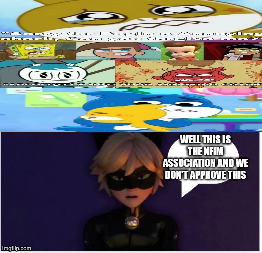 Ruin This Fill In Meme!!!!!!!!!!!!!!!!!!!!!!!!!!!!!!!!!!!!! #377 | Well this is the NFIM association and we don't approve this | image tagged in ruin this fill in meme 377 | made w/ Imgflip meme maker