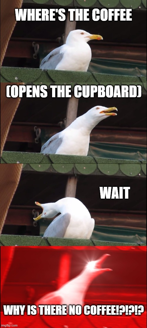 No coffee in the house no. 2 (seagull mayhem) | Where's the coffee; (opens the cupboard); Wait; WHY IS THERE NO COFFEE!?!?!? | image tagged in memes,inhaling seagull | made w/ Imgflip meme maker