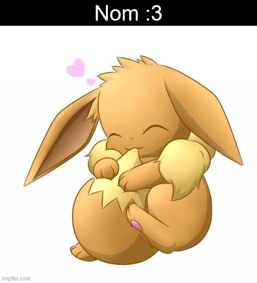 Before 12:00! It stillcounts! | Nom :3 | image tagged in eevee | made w/ Imgflip meme maker