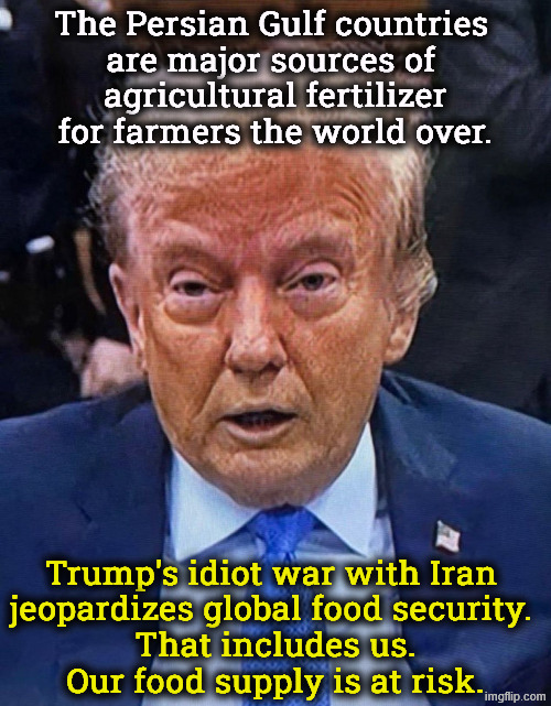 Our worst president for ever and ever, amen. | The Persian Gulf countries 
are major sources of 
agricultural fertilizer
for farmers the world over. Trump's idiot war with Iran 
jeopardizes global food security. 
That includes us.
Our food supply is at risk. | image tagged in trump senile crumbling low-energy dilated pupils,trump,iran,war,idiot,incompetence | made w/ Imgflip meme maker