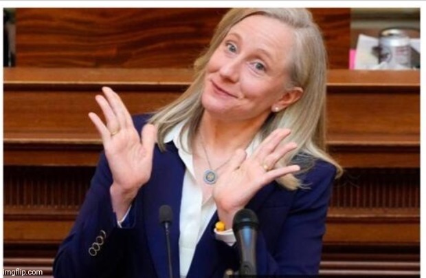image tagged in abigail spanberger | made w/ Imgflip meme maker